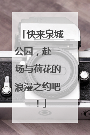 快来泉城公园，赴一场与荷花的浪漫之约吧！