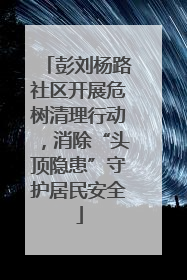 彭刘杨路社区开展危树清理行动，消除“头顶隐患”守护居民安全