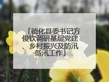 德化县委书记方俊钦调研基层党建、乡村振兴及防汛备汛工作