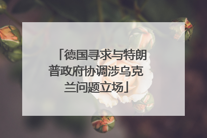 德国寻求与特朗普政府协调涉乌克兰问题立场