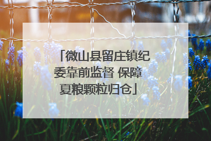 微山县留庄镇纪委靠前监督 保障夏粮颗粒归仓