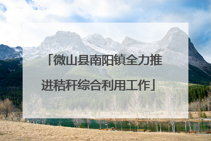 微山县南阳镇全力推进秸秆综合利用工作