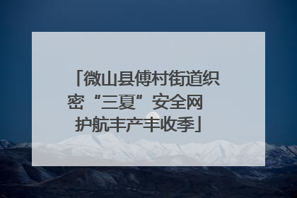 微山县傅村街道织密“三夏”安全网 护航丰产丰收季