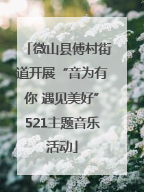 微山县傅村街道开展“音为有你 遇见美好”521主题音乐活动
