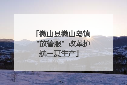 微山县微山岛镇“放管服”改革护航三夏生产