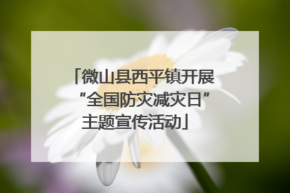 微山县西平镇开展“全国防灾减灾日”主题宣传活动