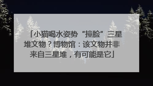 小猫喝水姿势“撞脸”三星堆文物？博物馆：该文物并非来自三星堆，有可能是它