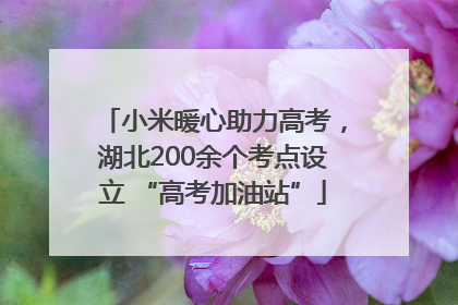 小米暖心助力高考，湖北200余个考点设立 “高考加油站”