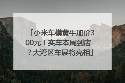 小米车模黄牛加价300元！实车本周到店？大湾区车展将亮相