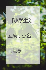 小学生刘云成，点名表扬！