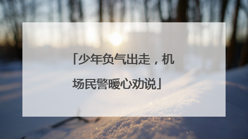少年负气出走，机场民警暖心劝说