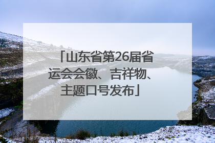山东省第26届省运会会徽、吉祥物、主题口号发布