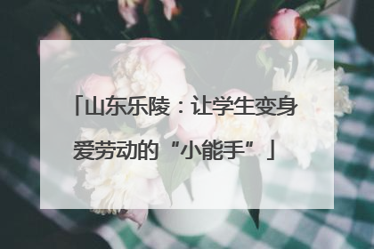 山东乐陵：让学生变身爱劳动的“小能手”