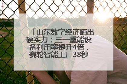 山东数字经济晒出硬实力：三一重能设备利用率提升4倍，赛轮智能工厂38秒生产一条轮胎