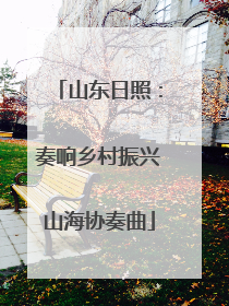 山东日照：奏响乡村振兴山海协奏曲