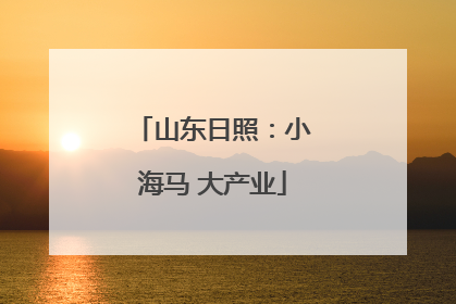 山东日照：小海马 大产业