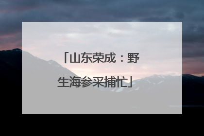 山东荣成：野生海参采捕忙