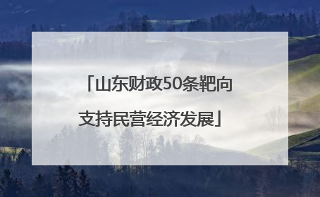 山东财政50条靶向支持民营经济发展