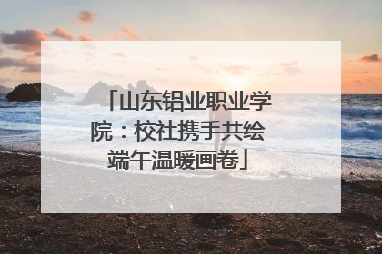 山东铝业职业学院：校社携手共绘端午温暖画卷