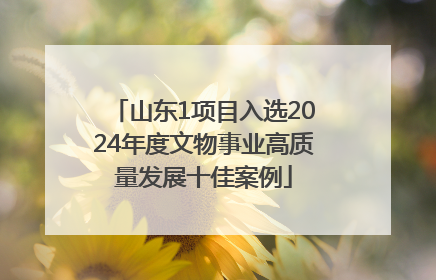 山东1项目入选2024年度文物事业高质量发展十佳案例
