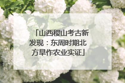 山西稷山考古新发现：东周时期北方旱作农业实证