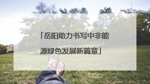 岳阳助力书写中非能源绿色发展新篇章