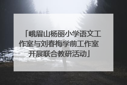 峨眉山杨丽小学语文工作室与刘春梅学前工作室开展联合教研活动