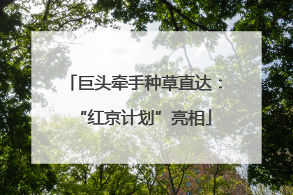 巨头牵手种草直达：“红京计划”亮相