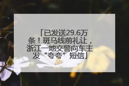 已发送29.6万条！斑马线前礼让，浙江一地交警向车主发“夸夸”短信