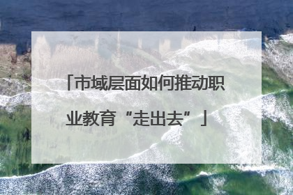 市域层面如何推动职业教育“走出去”