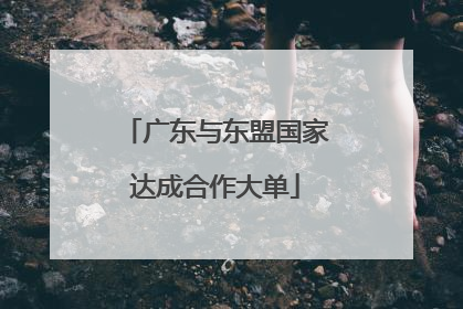 广东与东盟国家达成合作大单