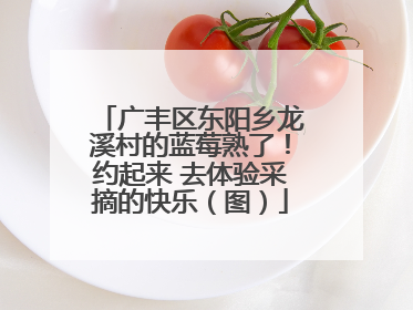 广丰区东阳乡龙溪村的蓝莓熟了！约起来 去体验采摘的快乐（图）