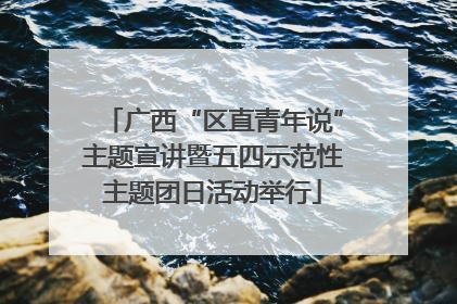 广西“区直青年说”主题宣讲暨五四示范性主题团日活动举行