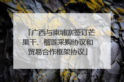 广西与柬埔寨签订芒果干、榴莲采购协议和贸易合作框架协议