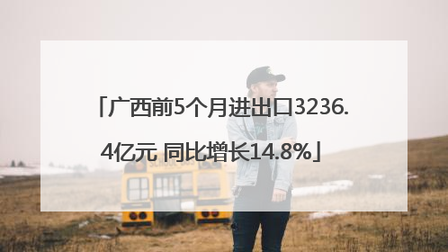 广西前5个月进出口3236.4亿元 同比增长14.8%