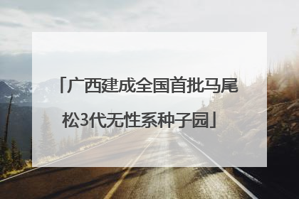 广西建成全国首批马尾松3代无性系种子园