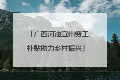 广西河池宜州务工补贴助力乡村振兴