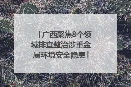 广西聚焦8个领域排查整治涉重金属环境安全隐患