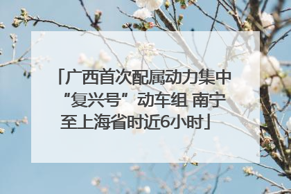 广西首次配属动力集中“复兴号”动车组 南宁至上海省时近6小时