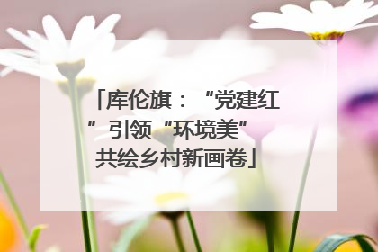 库伦旗：“党建红”引领“环境美” 共绘乡村新画卷