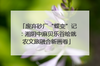 废弃砂厂“蝶变”记：湘阴中麻贝乐谷绘就农文旅融合新画卷