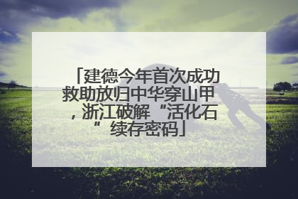 建德今年首次成功救助放归中华穿山甲，浙江破解“活化石”续存密码