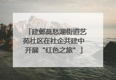 建邺莫愁湖街道艺苑社区在社企共建中开展“红色之旅”