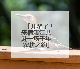 开犁了！来楠溪江共赴一场千年农耕之约