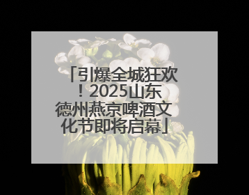 引爆全城狂欢！2025山东德州燕京啤酒文化节即将启幕