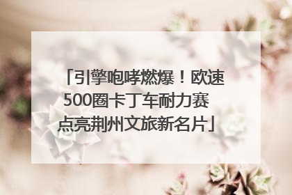 引擎咆哮燃爆！欧速500圈卡丁车耐力赛点亮荆州文旅新名片