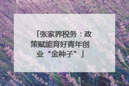 张家界税务：政策赋能育好青年创业“金种子”
