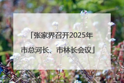 张家界召开2025年市总河长、市林长会议