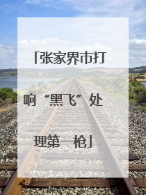张家界市打响“黑飞”处理第一枪