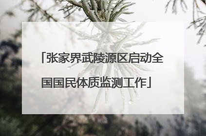 张家界武陵源区启动全国国民体质监测工作